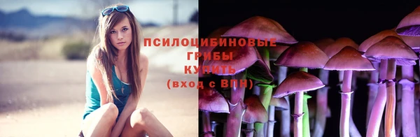 прущие крисы Покров