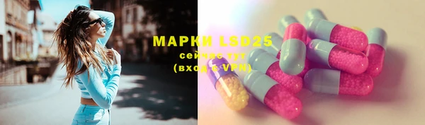 твердый Пересвет