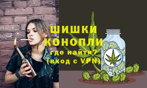 твердый Пестово