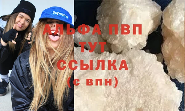 твердый Пересвет