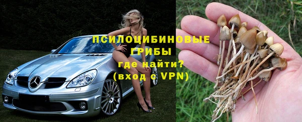 твердый Пестово