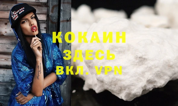 твердый Пересвет