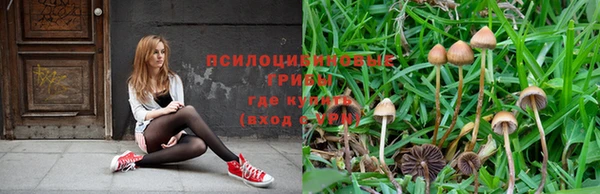 твердый Пересвет
