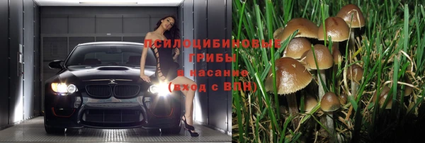 mdpv Покачи
