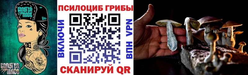 Псилоцибиновые грибы прущие грибы где найти наркотики Арск
